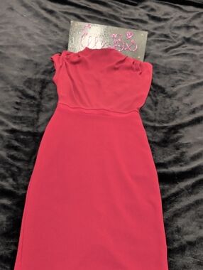 Express Wine Strapless Sheath Dress XXS